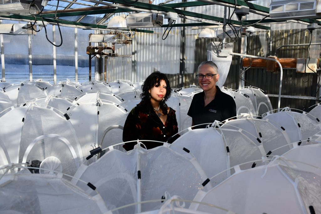 student and instructor stand in a greenhouse